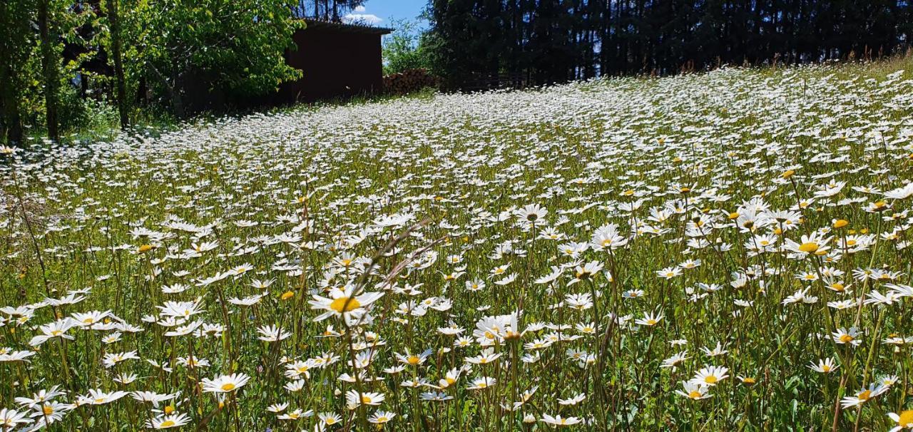 Moderne Mit Eigenem Garten Und Traumhaften Blick *